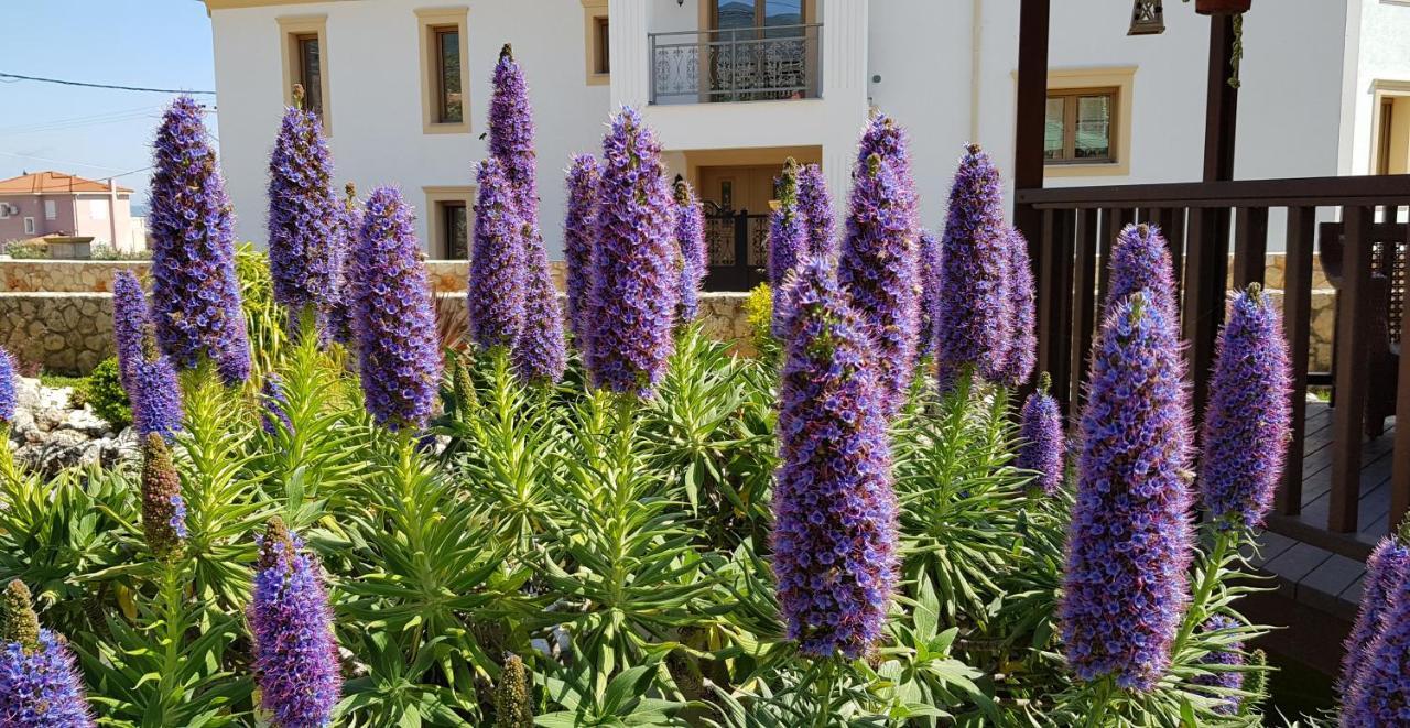 Villa Omega Kefalonia Karavados Luaran gambar